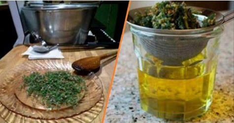 Recette Facile | Combattre le lupus, le vertige, l’arthrite, la fibromyalgie, les problèmes de thyroïde, la fatigue chronique et plus encore grâce à cette plante naturelle.