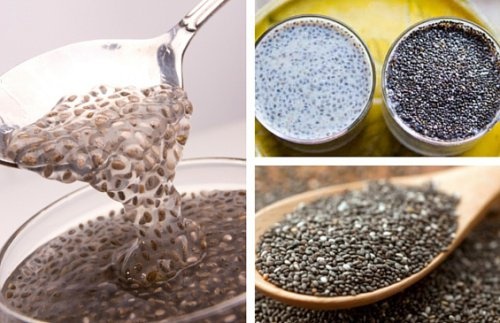 Recette Facile | Astuce grand-mère : Perdre du poids avec des graines de Chia: comment ça marche?