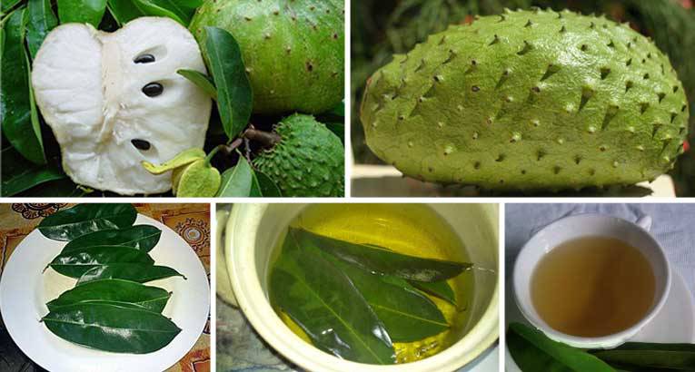 Recette Facile | Les feuilles de corossol sont 1000 fois plus fortes pour tuer les cellules cancéreuses que la chimiothérapie!