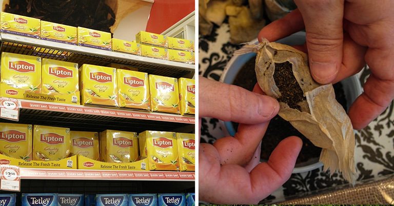 Recette Facile | La plupart des sachets de thé populaires contiennent des quantités illégales de pesticides mortels (évitez ces marques à tout prix)