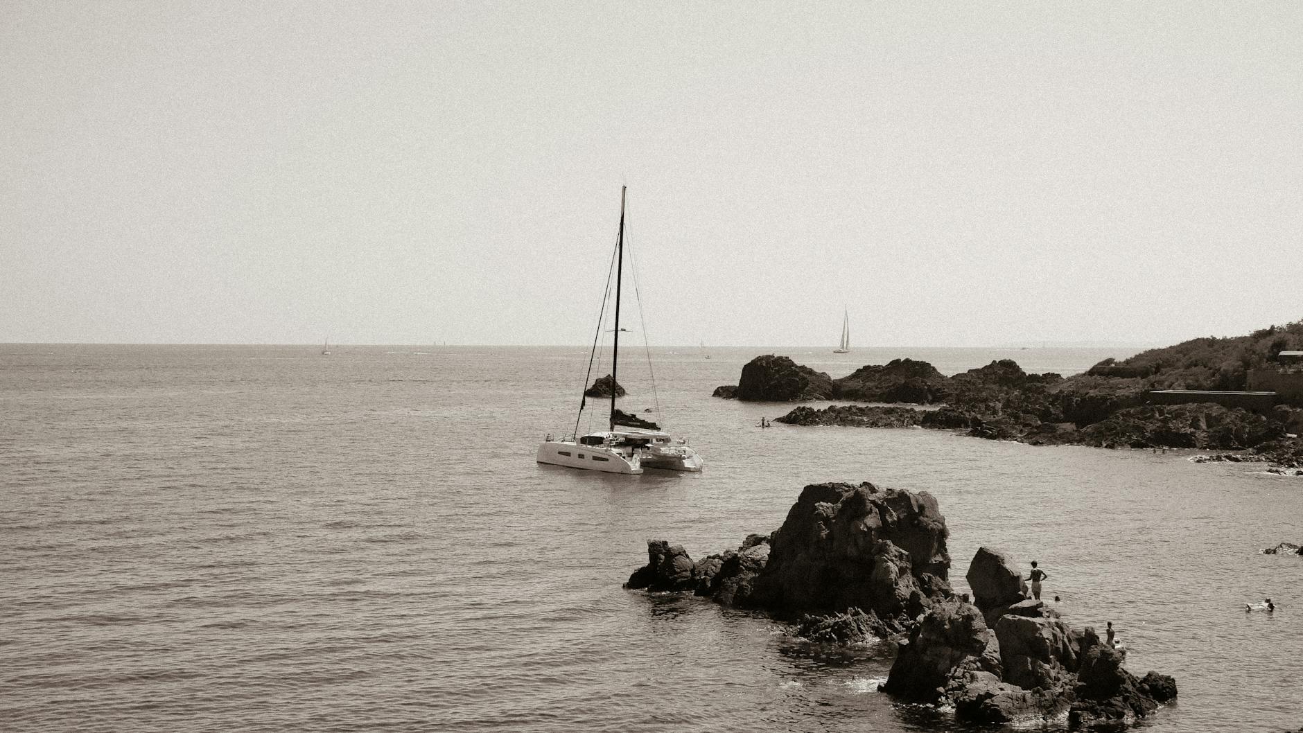 Filet de Dorade au Four Simple et Savoureux à la Maison