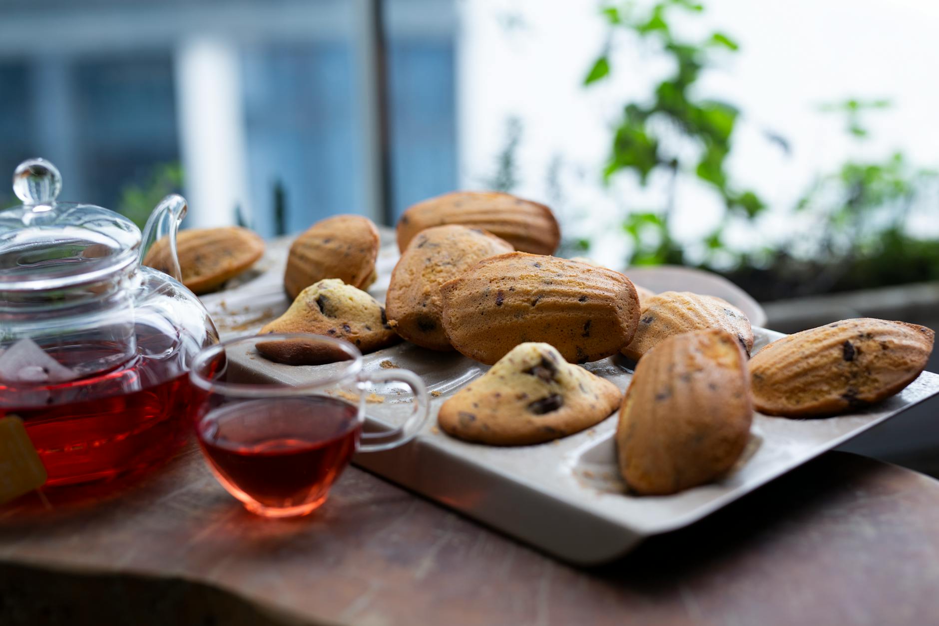 Madeleines pour Débutants La Recette Facile et Rapide