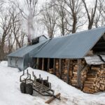 Gaufres croustillantes façon grand mère